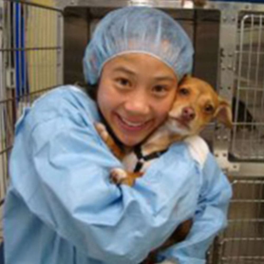 Dr. Angie Wong, Los Angeles Veterinarian